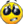 winked